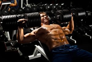 switchup workout to build muscle