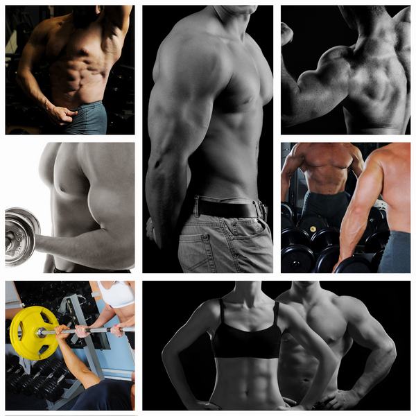 men and women fitness bodybuilders exercising